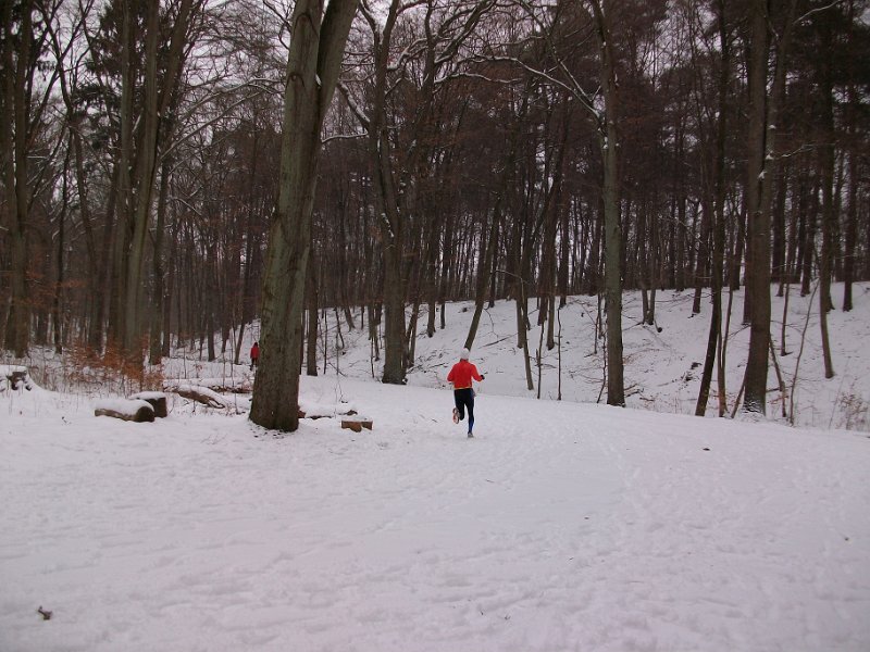 Crosslauf Bergedorf 030